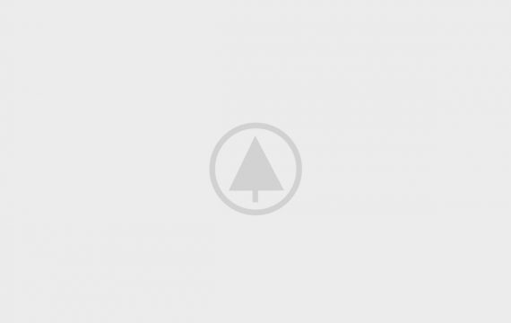 wood-portfolio-placeholder wood-portfolio-placeholder